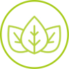 Icons_ROOT_gruen_vegan